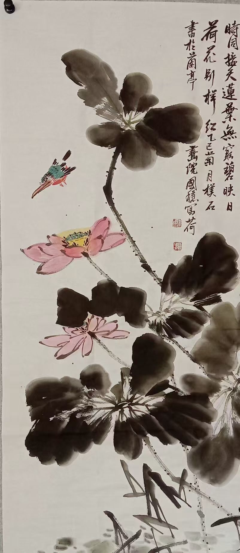 荷花翠鸟