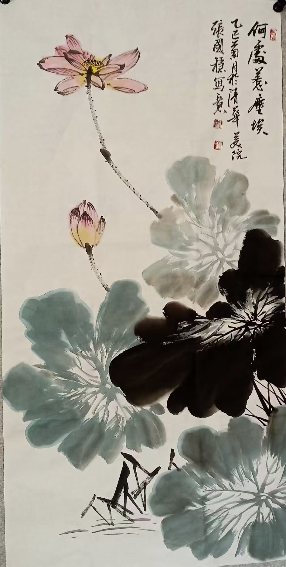 荷塘清趣